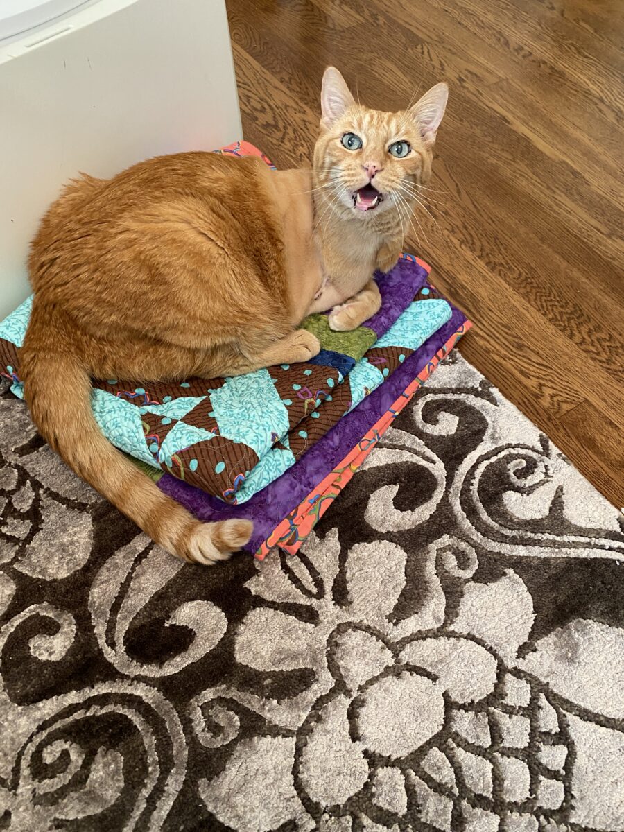 Mom! This ugly quilt makes the best bed!